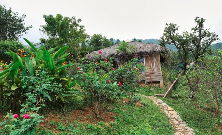 Sau ly hôn vợ kém 18 tuổi, Việt Hoàn 'bỏ phố về vườn', tận hưởng thú vui điền viên tại trang trại rộng 12.000m2 - Ảnh 4